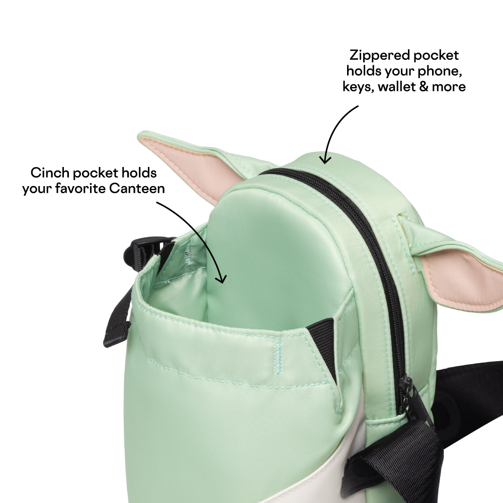 disney-sling-n2 53593b3e49e2--Sling-PDP-4.png