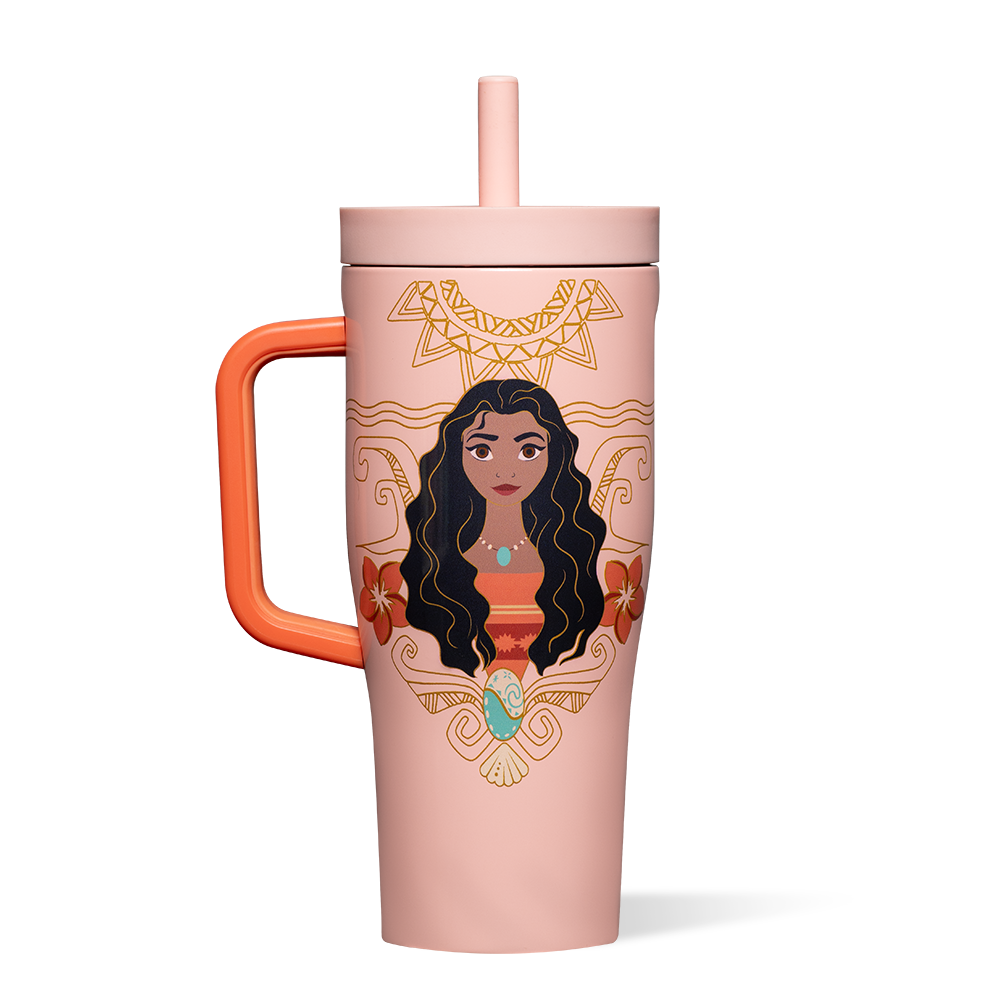 disney-princess-leakproof-cruiser-v5 DIS2222DP-M-01.png