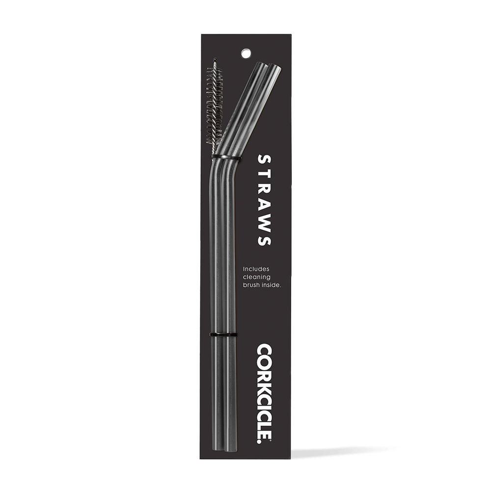 tumbler-straw-2-pack-q1 gunmetal.png